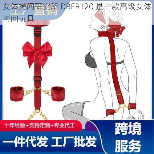 女体拷问研究所 DBER120 是一款高级女体拷问玩具