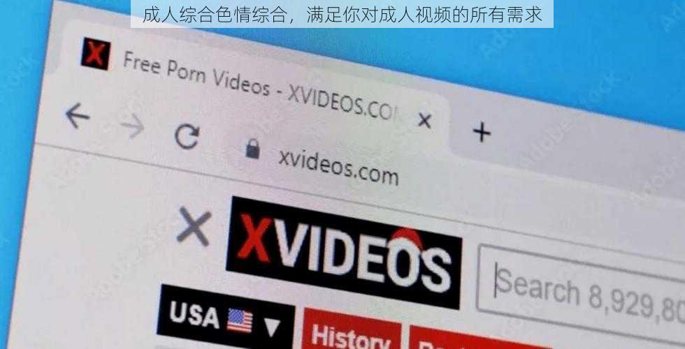 成人综合色情综合，满足你对成人视频的所有需求