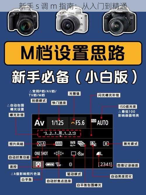 新手 s 调 m 指南：从入门到精通