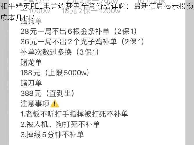 和平精英PEL电竞逐梦者全套价格详解：最新信息揭示投资成本几何？