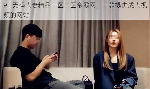 91 无码人妻精品一区二区帝霸网，一款提供成人视频的网站