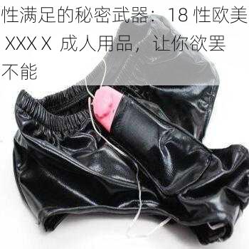 性满足的秘密武器：18 性欧美 XXXⅩ 成人用品，让你欲罢不能