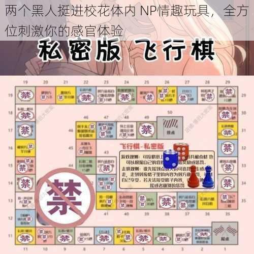 两个黑人挺进校花体内 NP情趣玩具，全方位刺激你的感官体验