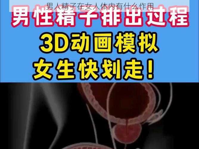 男人精子在女人体内有什么作用