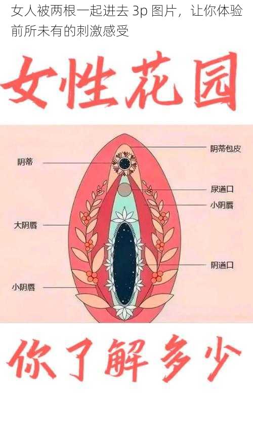 女人被两根一起进去 3p 图片，让你体验前所未有的刺激感受