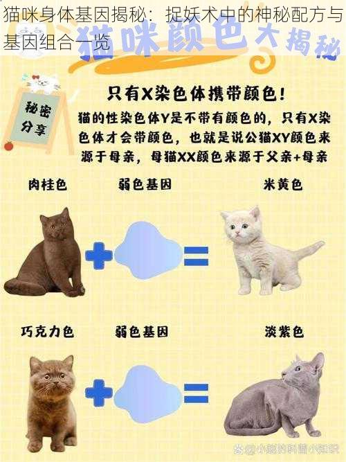 猫咪身体基因揭秘：捉妖术中的神秘配方与基因组合一览