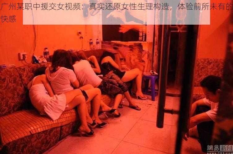 广州某职中援交女视频：真实还原女性生理构造，体验前所未有的快感