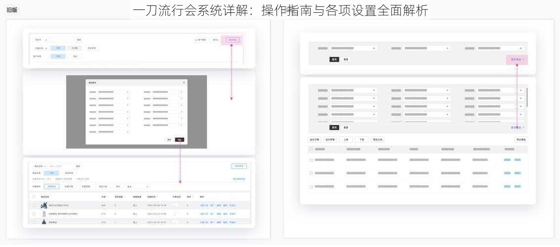 一刀流行会系统详解：操作指南与各项设置全面解析