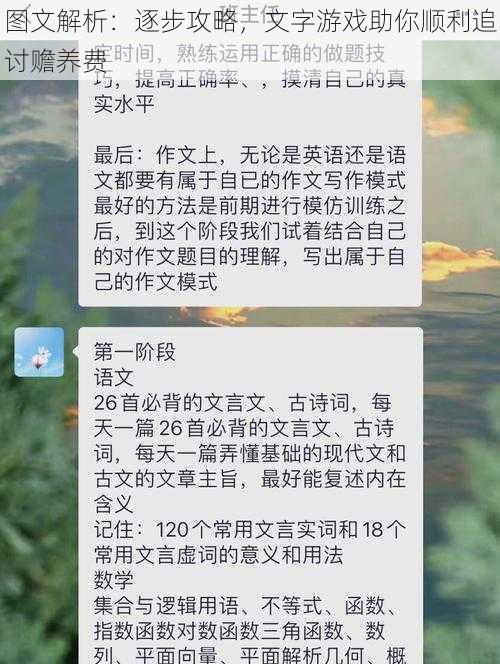 图文解析：逐步攻略，文字游戏助你顺利追讨赡养费