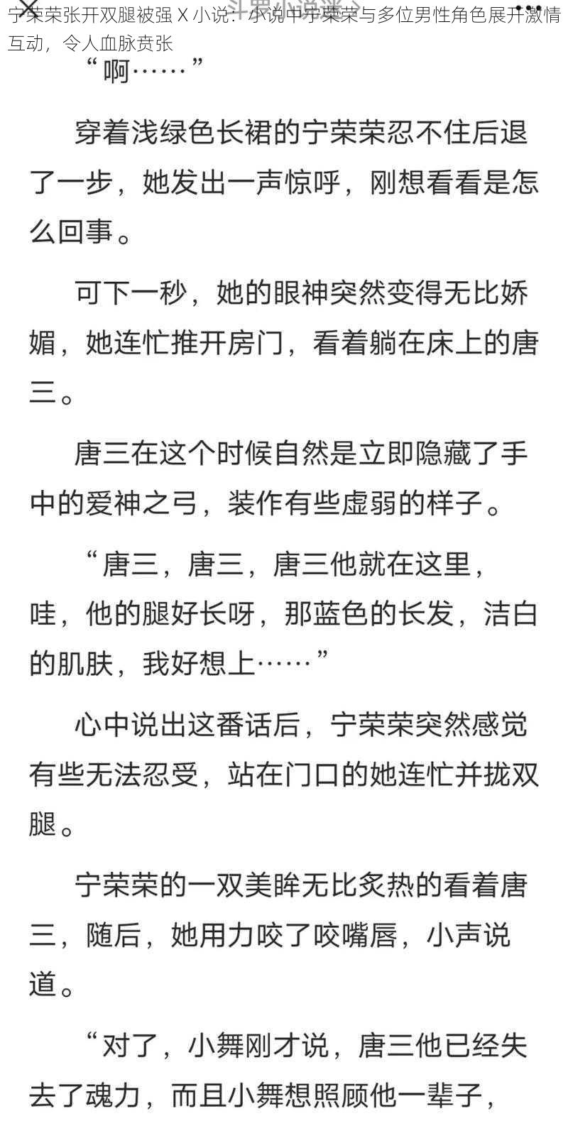 宁荣荣张开双腿被强 X 小说：小说中宁荣荣与多位男性角色展开激情互动，令人血脉贲张