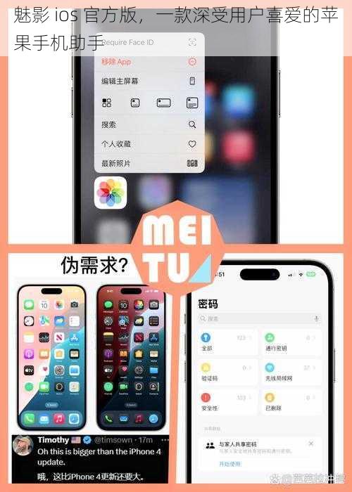 魅影 ios 官方版，一款深受用户喜爱的苹果手机助手