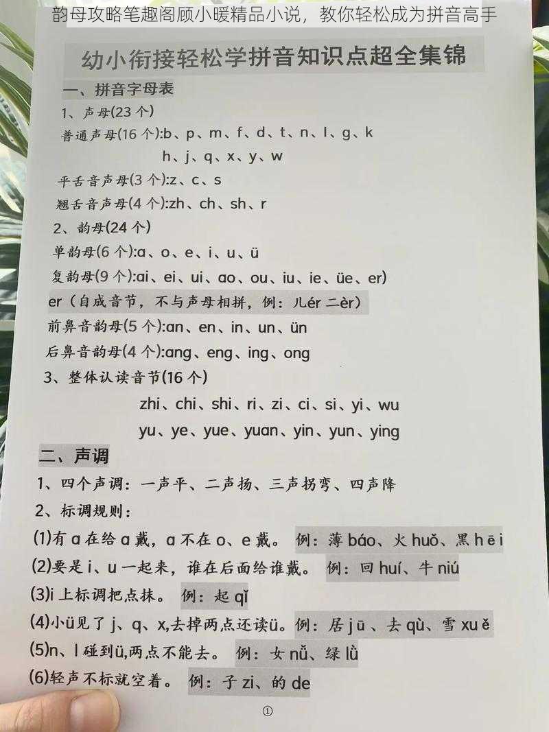 韵母攻略笔趣阁顾小暖精品小说，教你轻松成为拼音高手