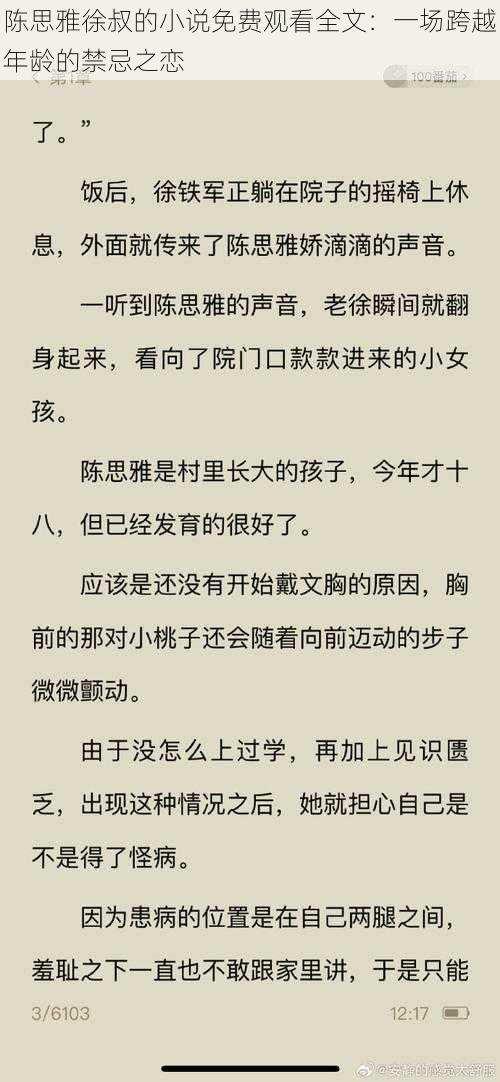 陈思雅徐叔的小说免费观看全文：一场跨越年龄的禁忌之恋