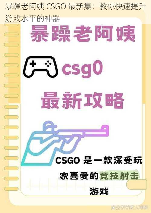 暴躁老阿姨 CSGO 最新集：教你快速提升游戏水平的神器