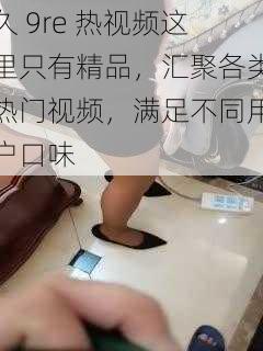 久 9re 热视频这里只有精品，汇聚各类热门视频，满足不同用户口味