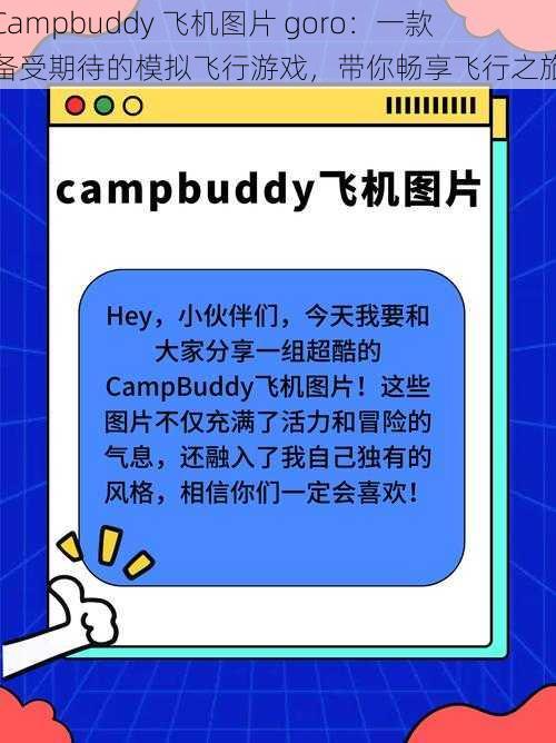 Campbuddy 飞机图片 goro：一款备受期待的模拟飞行游戏，带你畅享飞行之旅