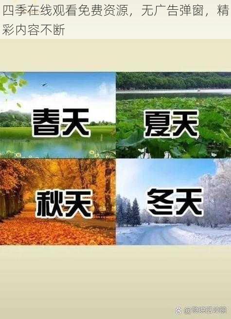 四季在线观看免费资源，无广告弹窗，精彩内容不断