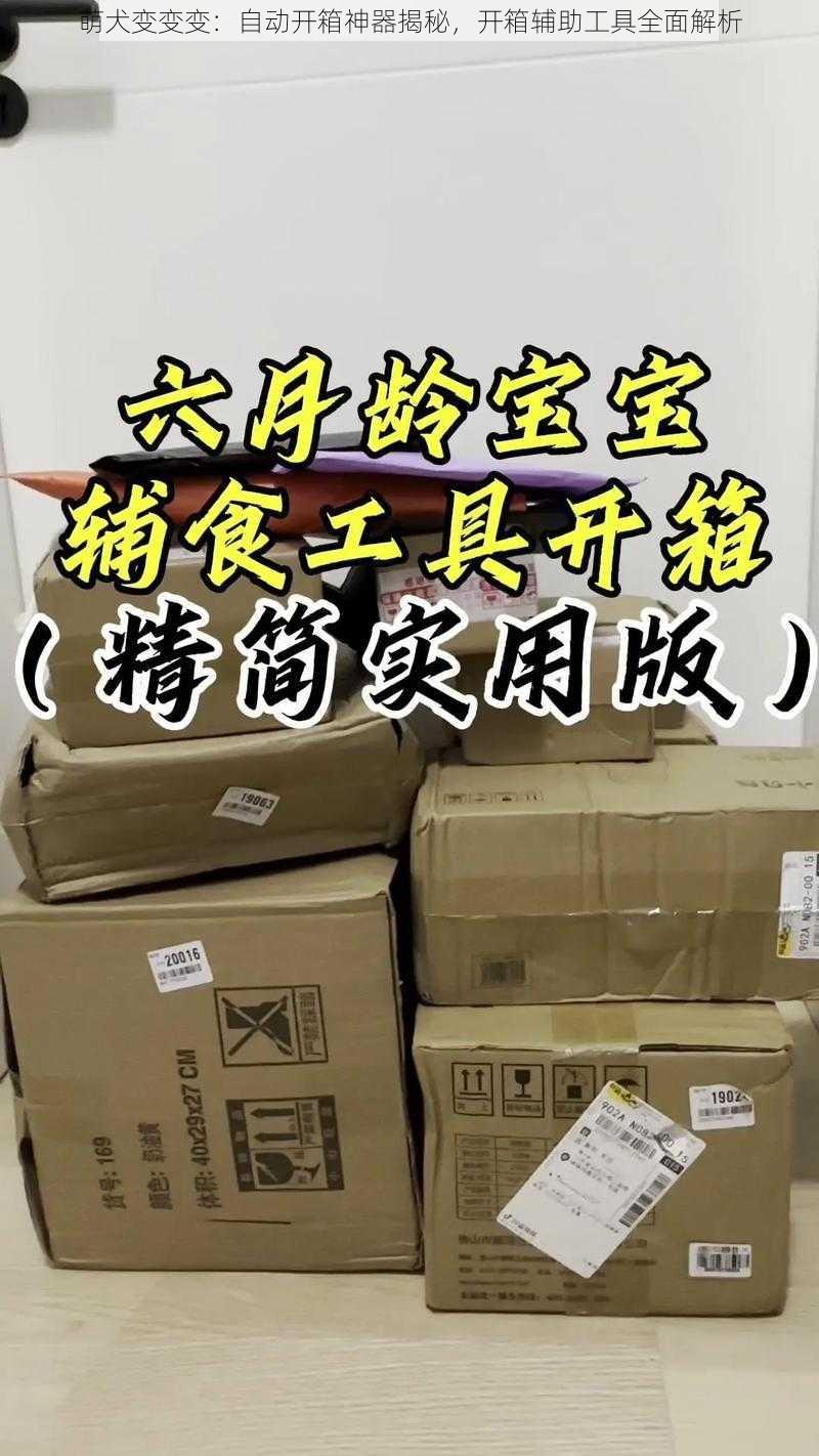 萌犬变变变：自动开箱神器揭秘，开箱辅助工具全面解析