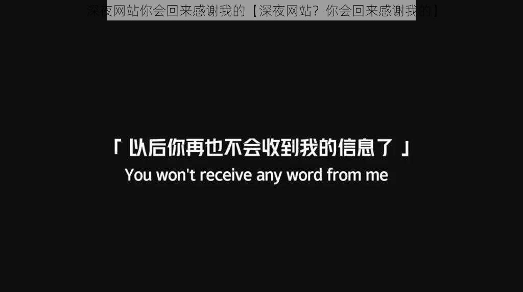 深夜网站你会回来感谢我的【深夜网站？你会回来感谢我的】