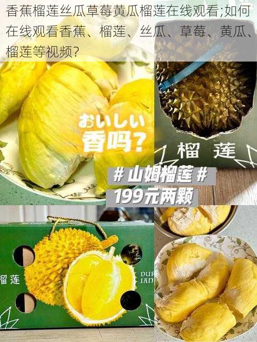 香蕉榴莲丝瓜草莓黄瓜榴莲在线观看;如何在线观看香蕉、榴莲、丝瓜、草莓、黄瓜、榴莲等视频？