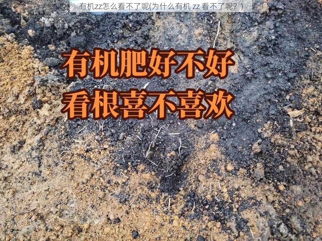 有机zz怎么看不了呢(为什么有机 zz 看不了呢？)