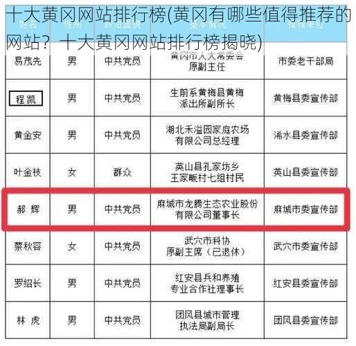 十大黄冈网站排行榜(黄冈有哪些值得推荐的网站？十大黄冈网站排行榜揭晓)