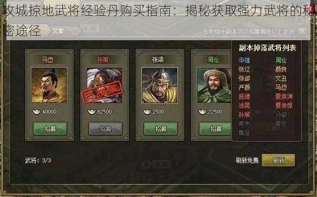 攻城掠地武将经验丹购买指南：揭秘获取强力武将的秘密途径