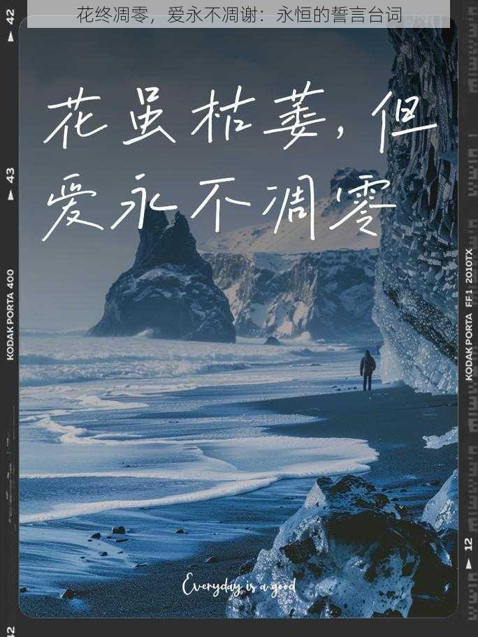 花终凋零，爱永不凋谢：永恒的誓言台词