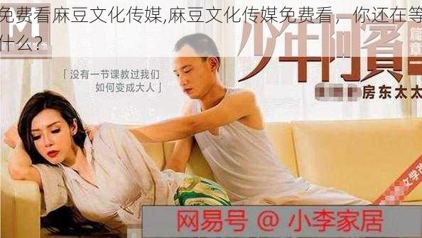 免费看麻豆文化传媒,麻豆文化传媒免费看，你还在等什么？