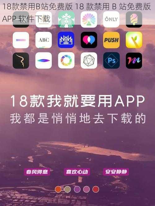 18款禁用B站免费版 18 款禁用 B 站免费版 APP 软件下载