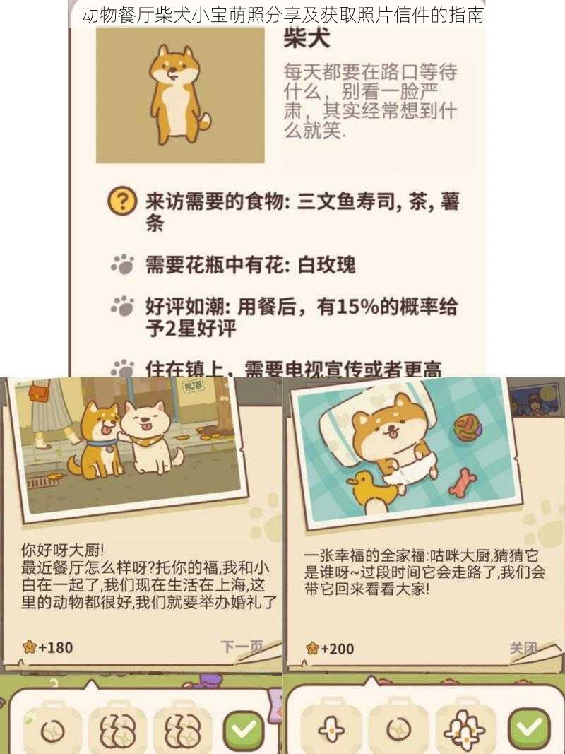 动物餐厅柴犬小宝萌照分享及获取照片信件的指南