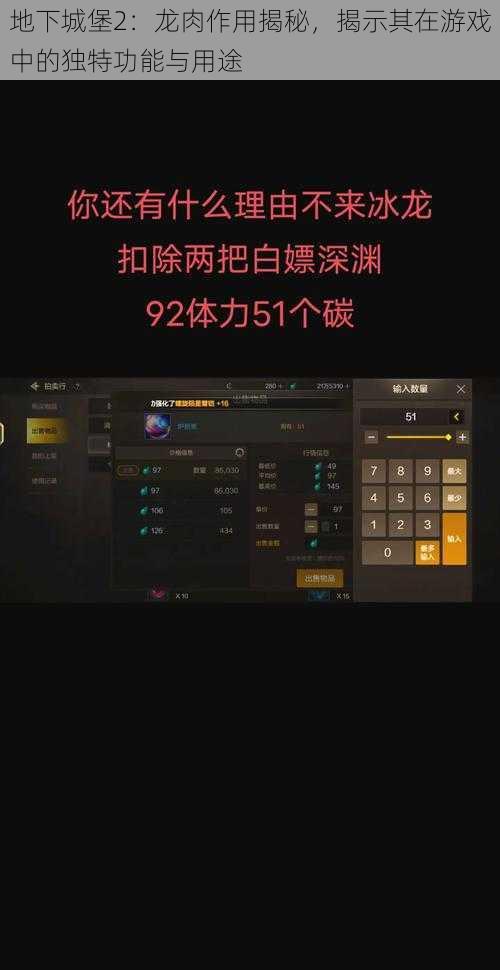 地下城堡2：龙肉作用揭秘，揭示其在游戏中的独特功能与用途