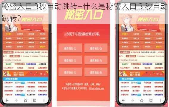 秘密入口 3秒自动跳转—什么是秘密入口 3 秒自动跳转？