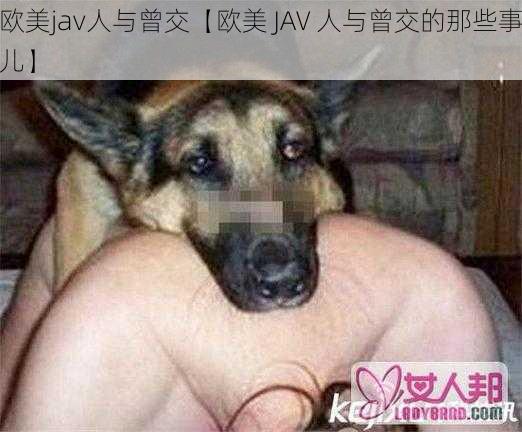 欧美jav人与曾交【欧美 JAV 人与曾交的那些事儿】