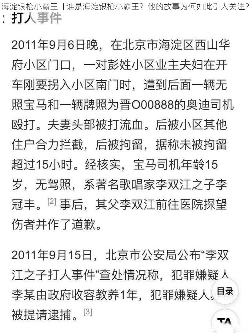 海淀银枪小霸王【谁是海淀银枪小霸王？他的故事为何如此引人关注？】