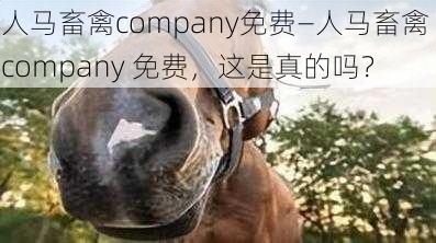 人马畜禽company免费—人马畜禽 company 免费，这是真的吗？