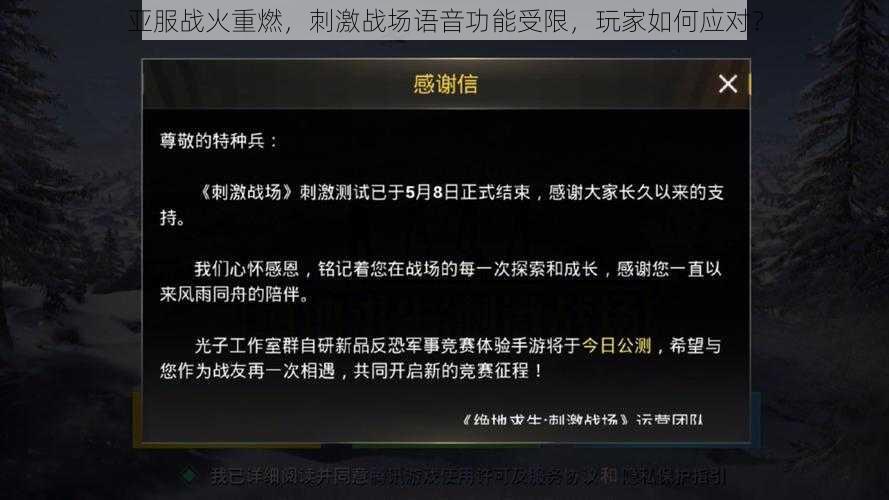 亚服战火重燃，刺激战场语音功能受限，玩家如何应对？