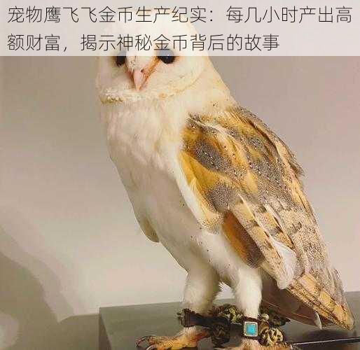 宠物鹰飞飞金币生产纪实：每几小时产出高额财富，揭示神秘金币背后的故事