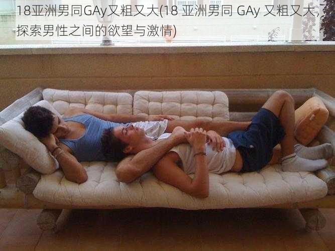 18亚洲男同GAy又粗又大(18 亚洲男同 GAy 又粗又大，探索男性之间的欲望与激情)