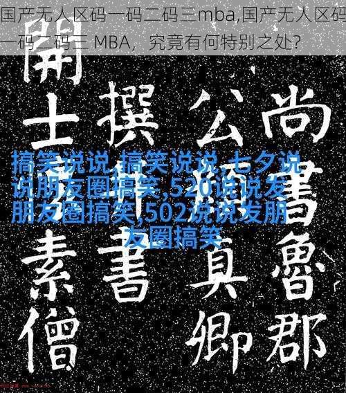 国产无人区码一码二码三mba,国产无人区码一码二码三 MBA，究竟有何特别之处？