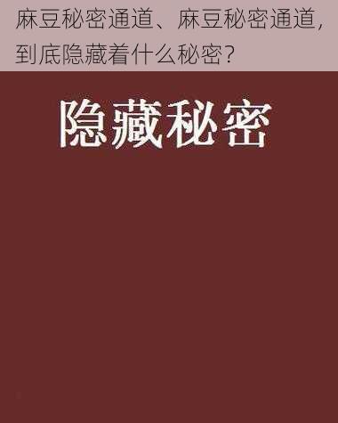 麻豆秘密通道、麻豆秘密通道，到底隐藏着什么秘密？