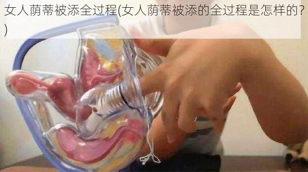 女人荫蒂被添全过程(女人荫蒂被添的全过程是怎样的？)