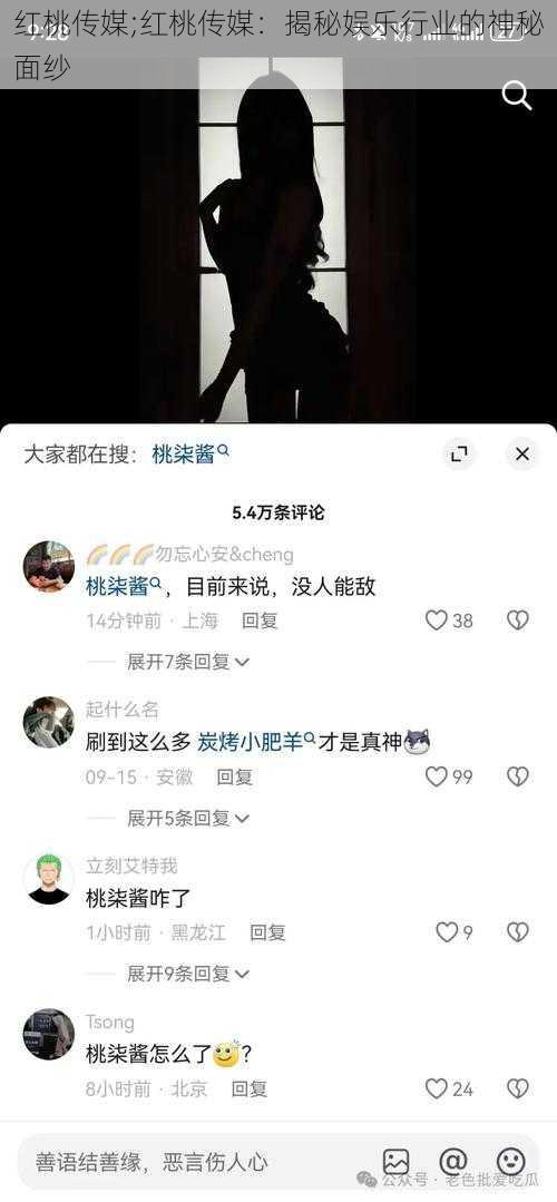 红桃传媒;红桃传媒：揭秘娱乐行业的神秘面纱