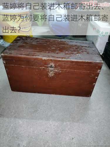 蓝婷将自己装进木箱邮寄出去、蓝婷为何要将自己装进木箱邮寄出去？