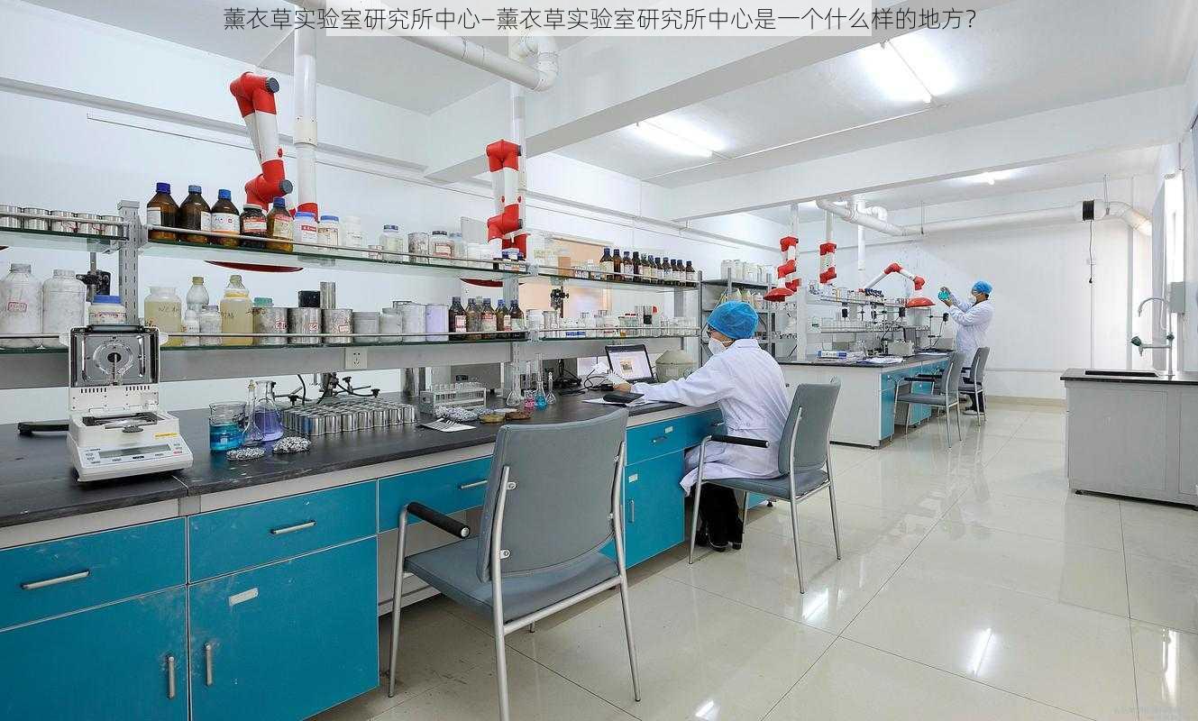 薰衣草实验室研究所中心—薰衣草实验室研究所中心是一个什么样的地方？