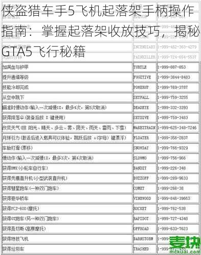 侠盗猎车手5飞机起落架手柄操作指南：掌握起落架收放技巧，揭秘GTA5飞行秘籍