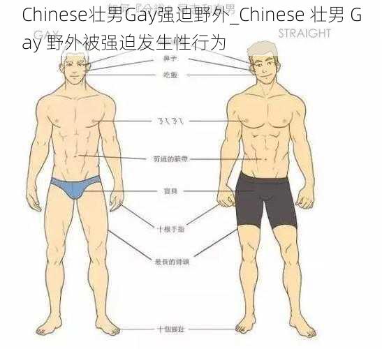 Chinese壮男Gay强迫野外_Chinese 壮男 Gay 野外被强迫发生性行为