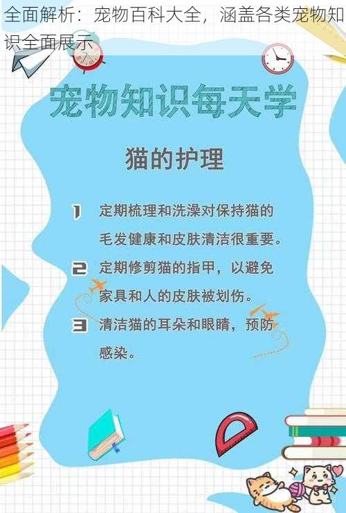 全面解析：宠物百科大全，涵盖各类宠物知识全面展示