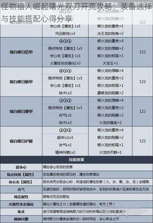 怪物猎人崛起曙光双刀开荒攻略：装备选择与技能搭配心得分享