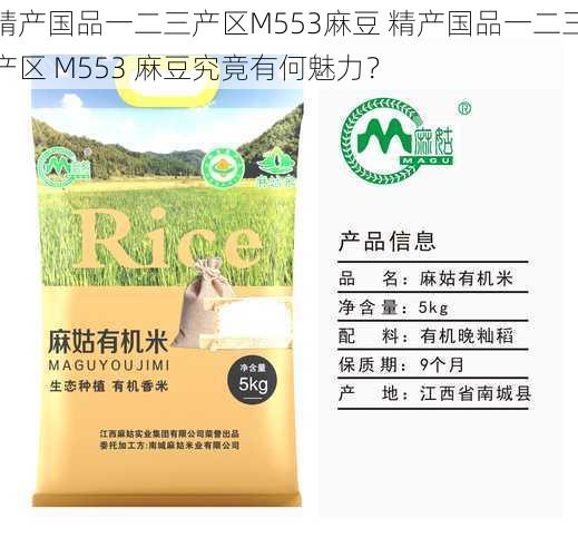 精产国品一二三产区M553麻豆 精产国品一二三产区 M553 麻豆究竟有何魅力？